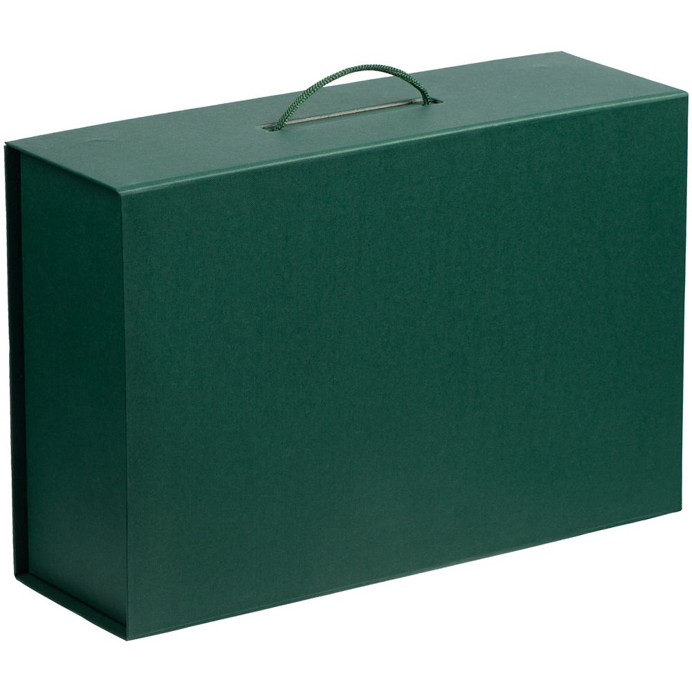 Коробка Big Case, зеленая (Миниатюра WWW (1000))