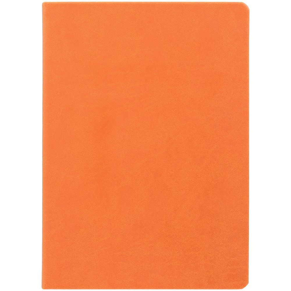 Ежедневник Basis, датированный, оранжевый (Миниатюра WWW (1000))