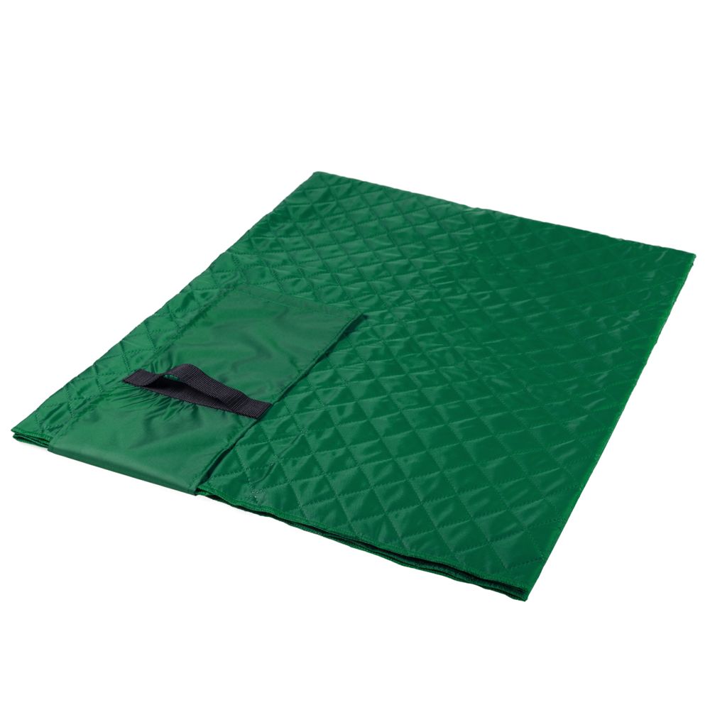 Плед для пикника Comfy, зеленый (Миниатюра WWW (1000))