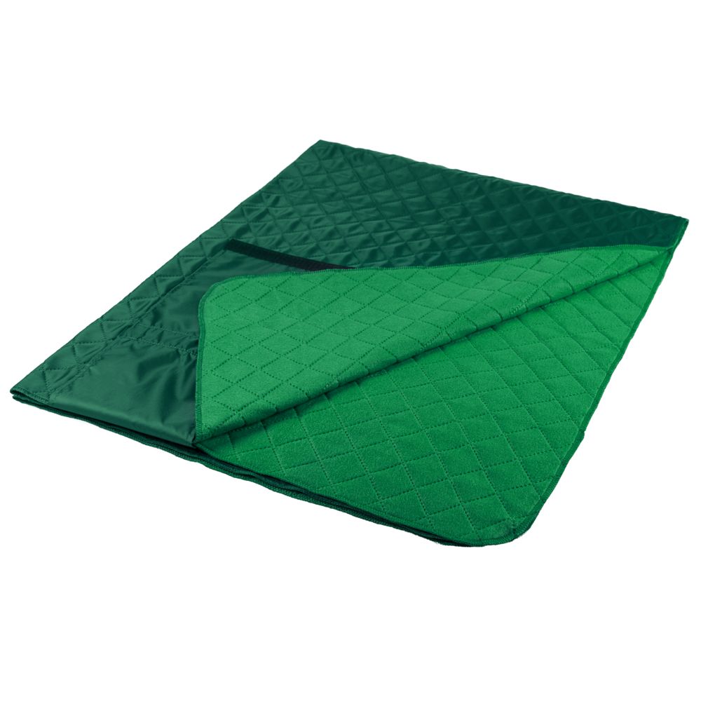 Плед для пикника Comfy, зеленый (Миниатюра WWW (1000))