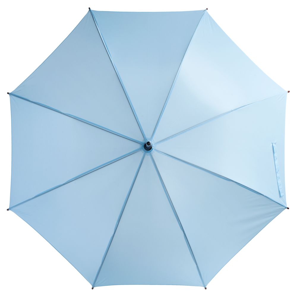Зонт-трость Standard, голубой (Миниатюра WWW (1000))