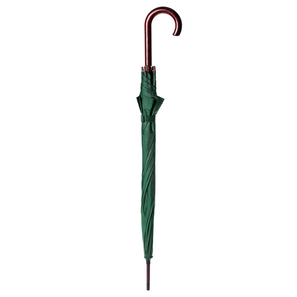 Зонт-трость Standard, зеленый (Миниатюра WWW (1000))