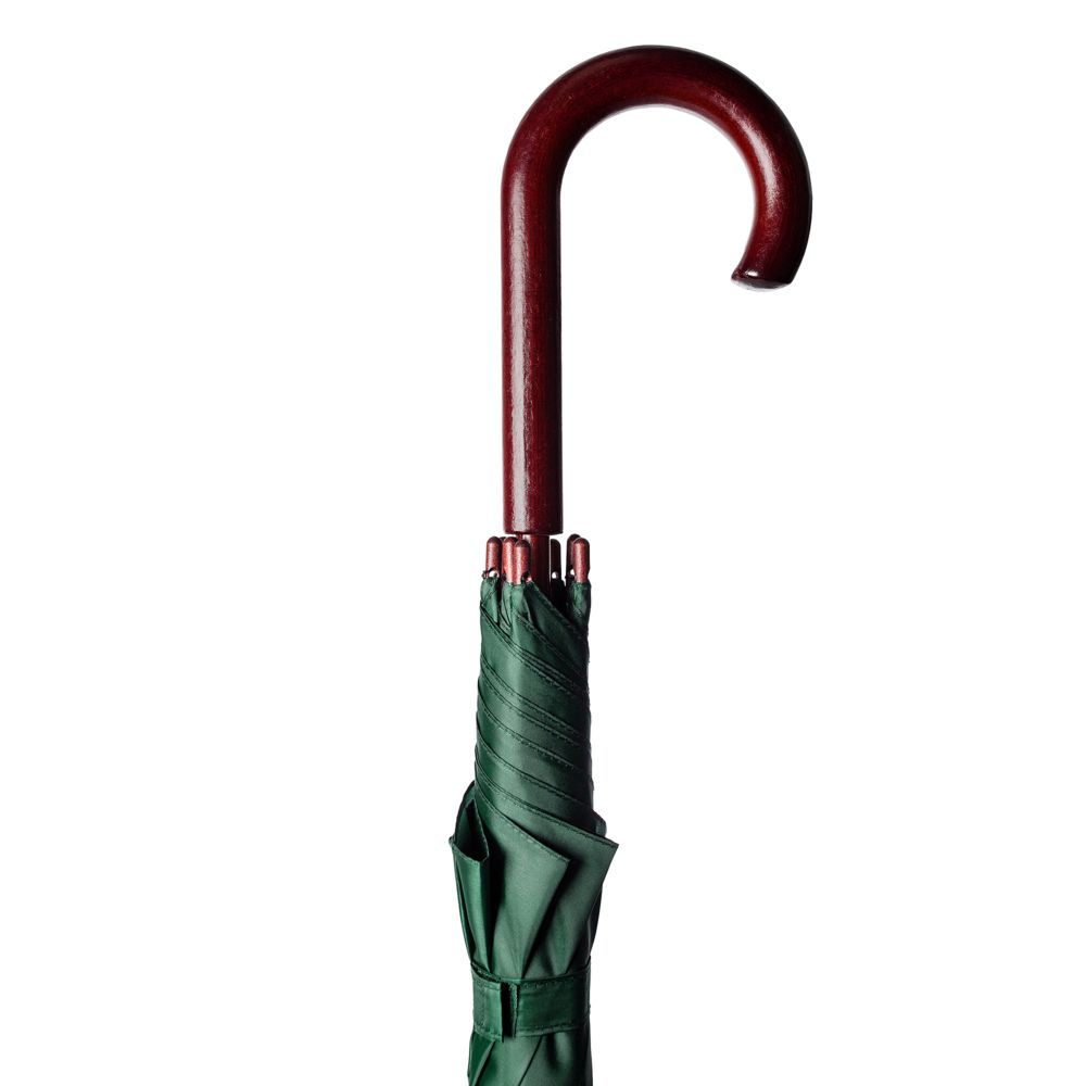 Зонт-трость Standard, зеленый (Миниатюра WWW (1000))