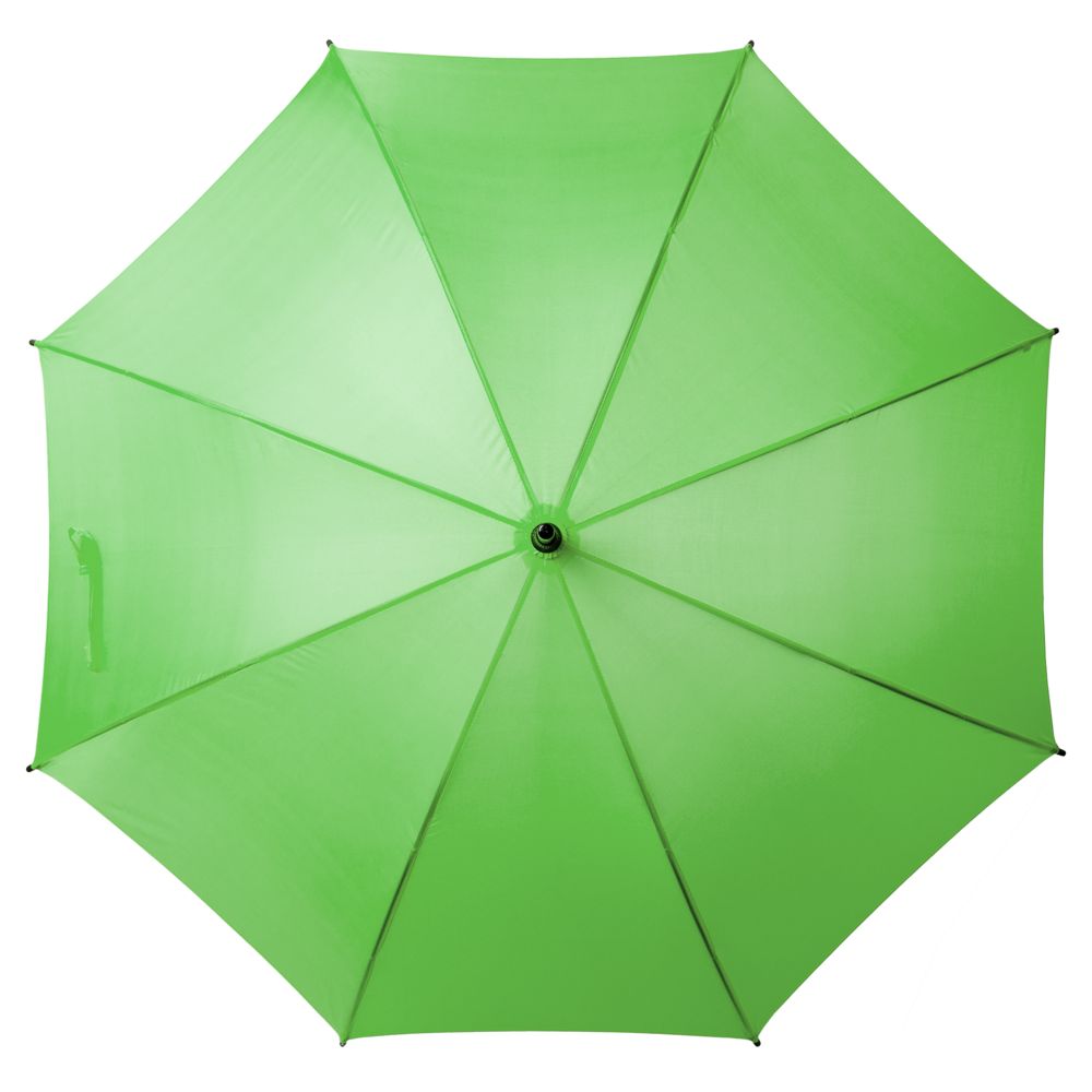 Зонт-трость Standard, зеленое яблоко (Миниатюра WWW (1000))