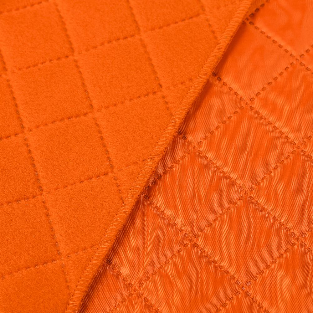 Плед для пикника Soft & Dry, темно-оранжевый (Миниатюра WWW (1000))