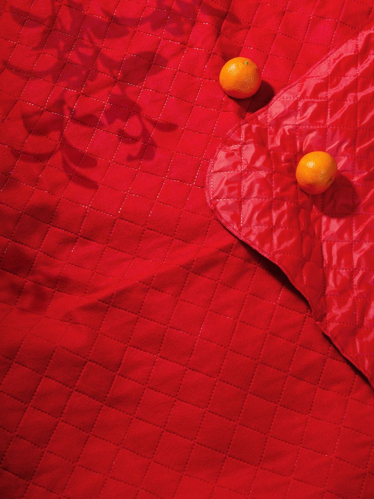 Плед для пикника Soft & Dry, темно-красный (Миниатюра WWW (1000))