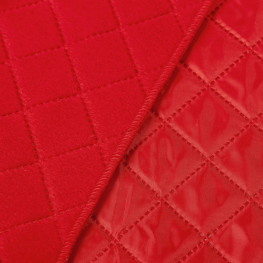 Плед для пикника Soft & Dry, темно-красный (Миниатюра WWW (1000))