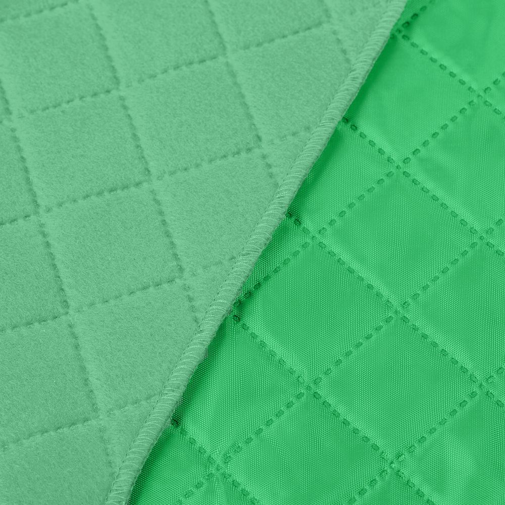 Плед для пикника Soft & Dry, светло-зеленый (Миниатюра WWW (1000))