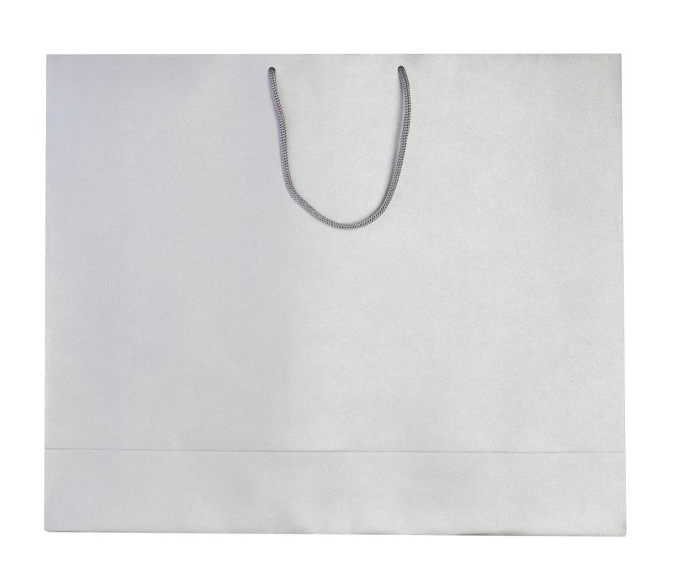 Пакет бумажный «Блеск», большой, серебристый (Миниатюра WWW (1000))
