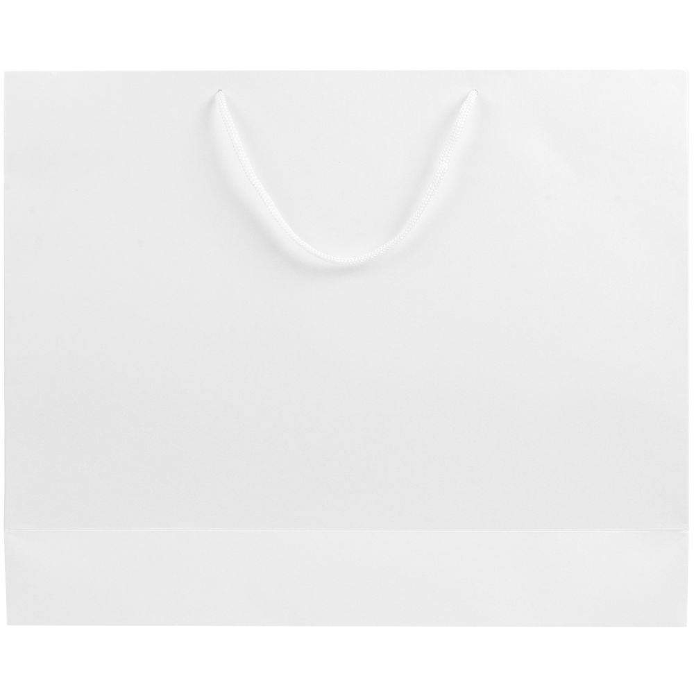 Пакет бумажный «Блеск», большой, белый (Миниатюра WWW (1000))