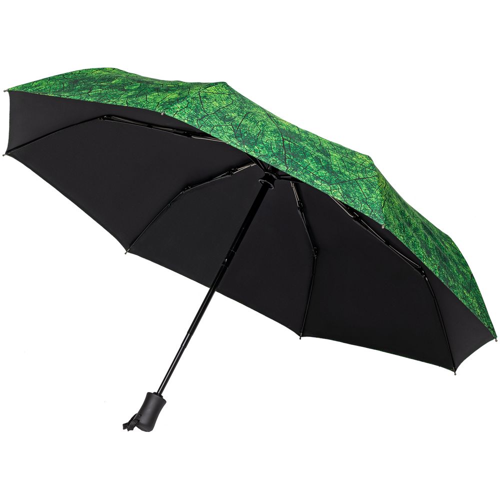 Зонт складной Evergreen (Миниатюра WWW (1000))