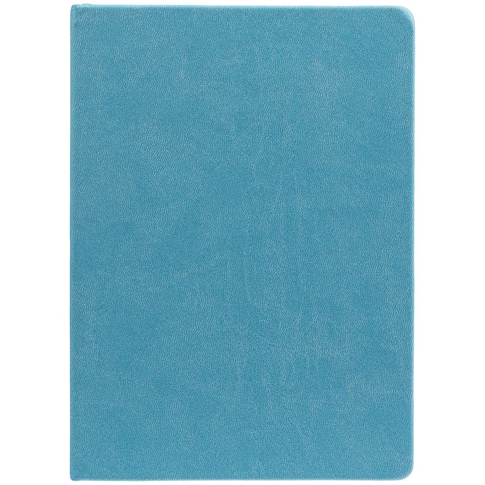Ежедневник New Latte, недатированный, голубой (Миниатюра WWW (1000))